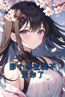 那个冬夜我不爱你了